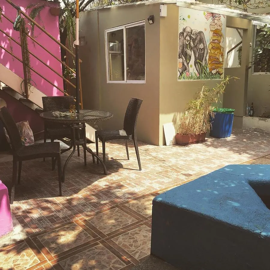 Funky Monkey Hotel Guayaquil Ecuador